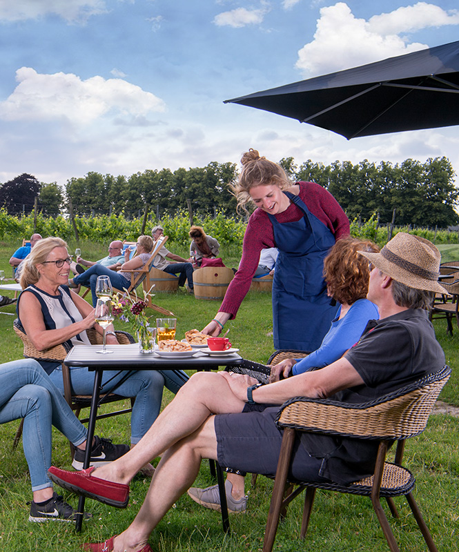Ontspannen en genieten bij Wijnterras de Holdeurn