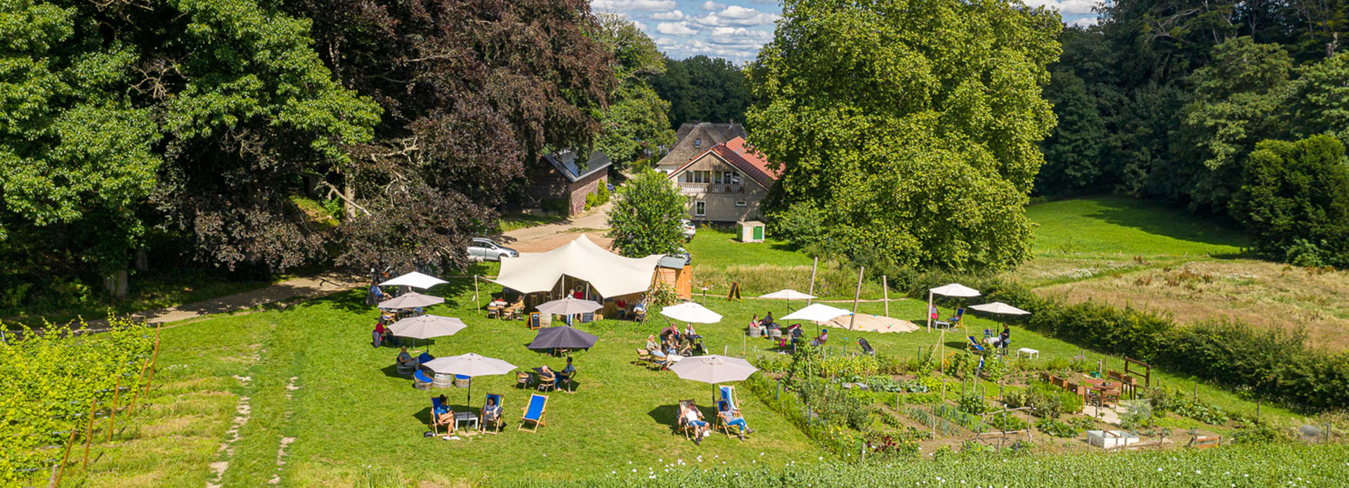Wijnterras-Proeverijen-Rondleiding